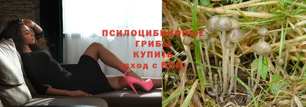 крисы Алексин