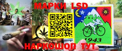 винт Партизанск