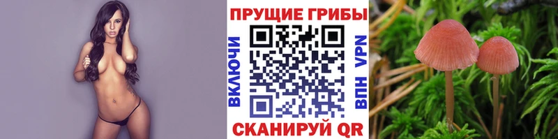 Псилоцибиновые грибы мухоморы  Уварово 